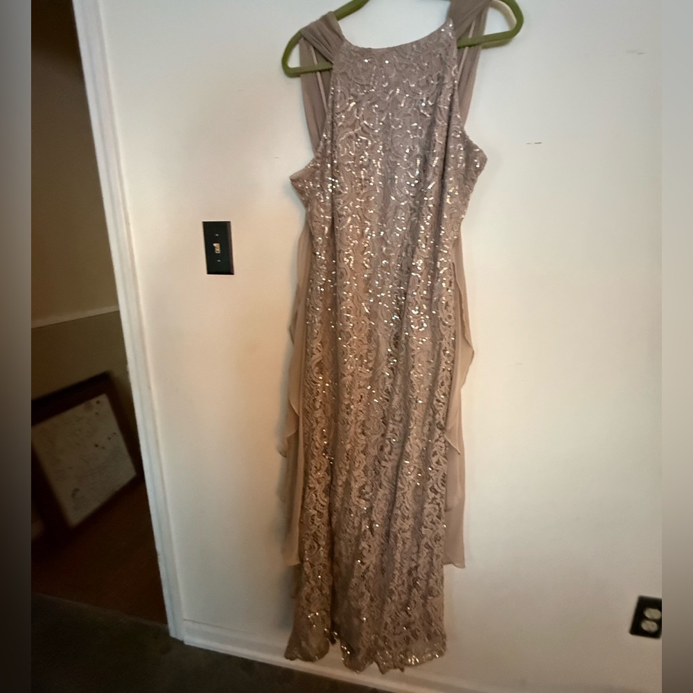 Alex Evenings Champagne Sequin Maxi Dress